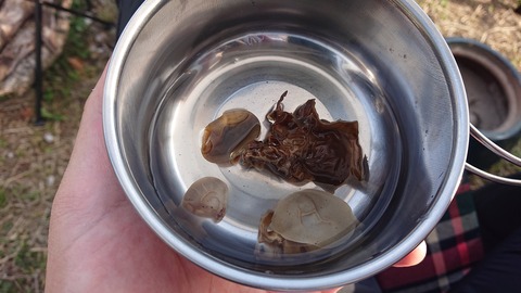 42-34家族旅行村安心院95S