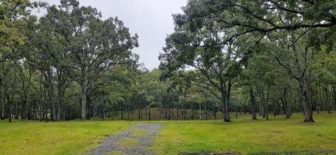 172-157(14-14)くじゅう自然動物園903_112433