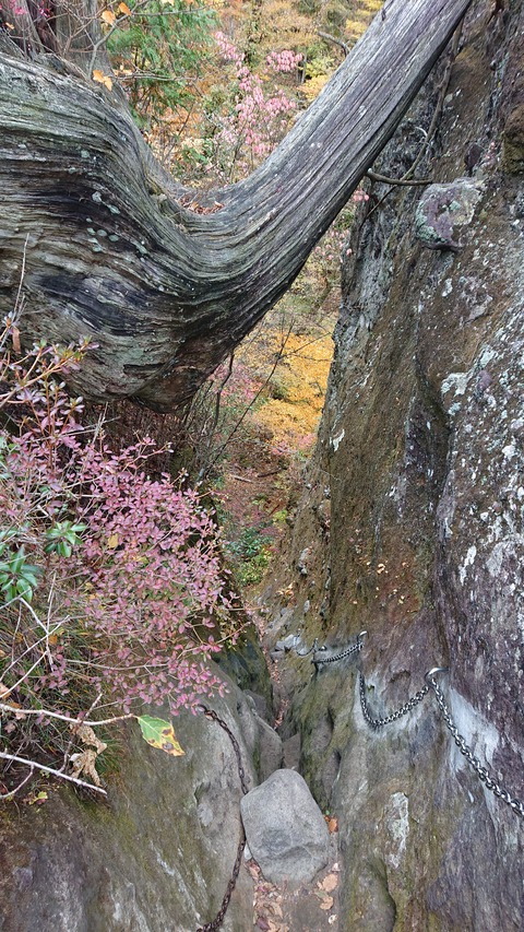 124-109(23-23)英彦山野営場126