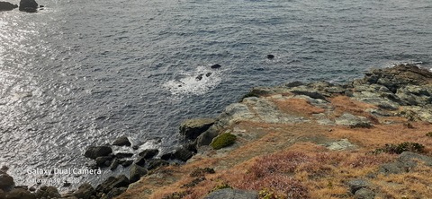 131-116(30-30)大島津和瀬キャンプ場40435