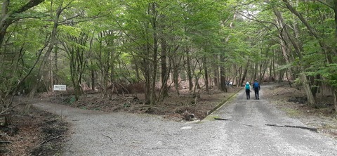 266-247(3-3)天空の杜602_075510