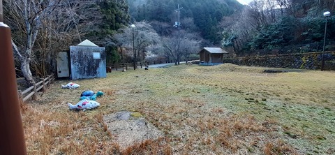 147-132(46-46)桂木山麓白糸の滝20_080515