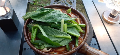 228-211(17-16)泉水キャンプ村909_181508