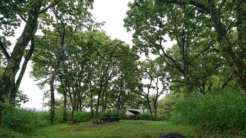 111-96(10-10)くじゅうエイドST209