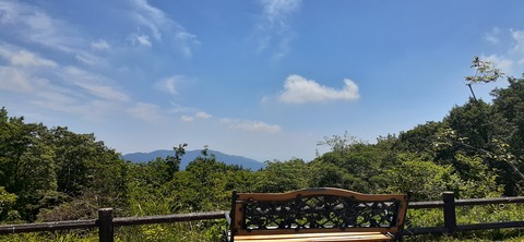 164-149(6-6)長野山緑地公園702_112020