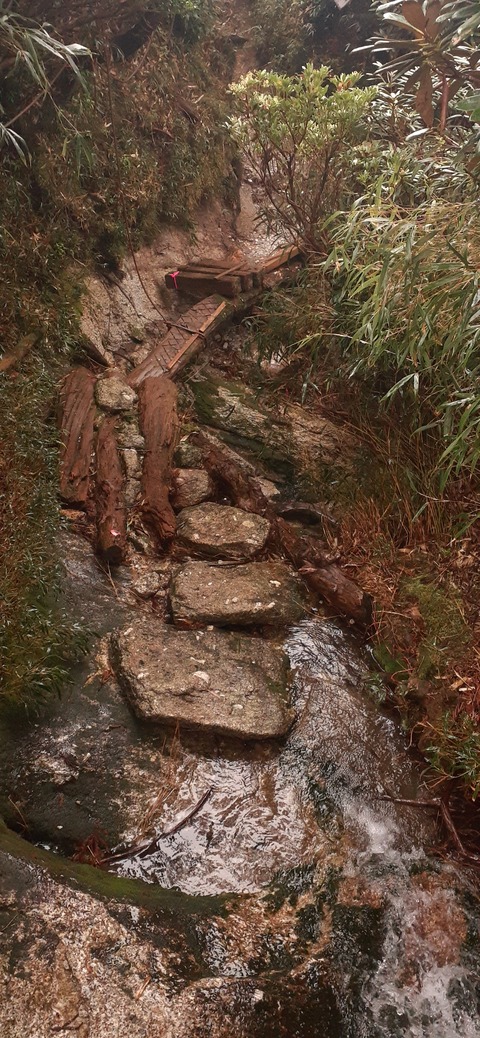 260-241(49-46)宮之浦岳淀川小屋501_152418