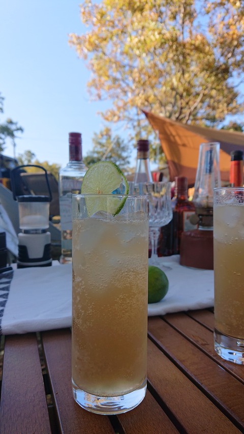 66-53(21-17)久住山荘南登山口94S