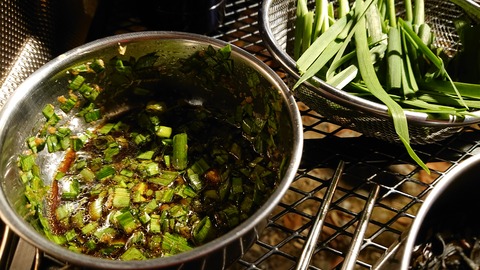 68-55(23-19)藤河内渓谷キャンプ場272S