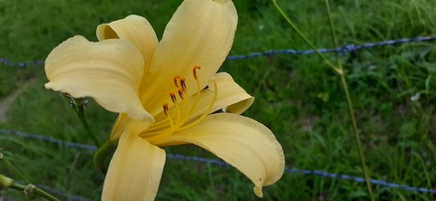 167-152(9-9)久住星群れキャンプ場723_190136