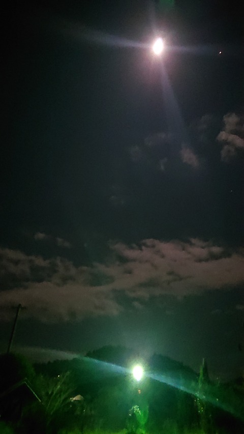 67-54(22-18)辻河原公園キャンプ場154S