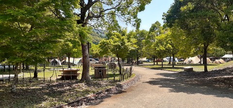 155-140(54-54)うめキャンプ村504_132530