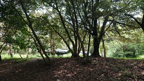 49-39物見山総合公園377S