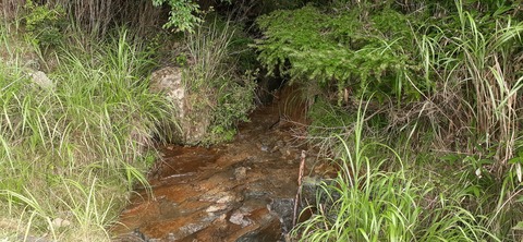 223-206(12-11)四季見原すこやかの森②815_123017