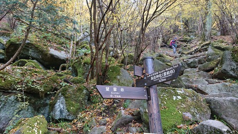 124-109(23-23)英彦山野営場102