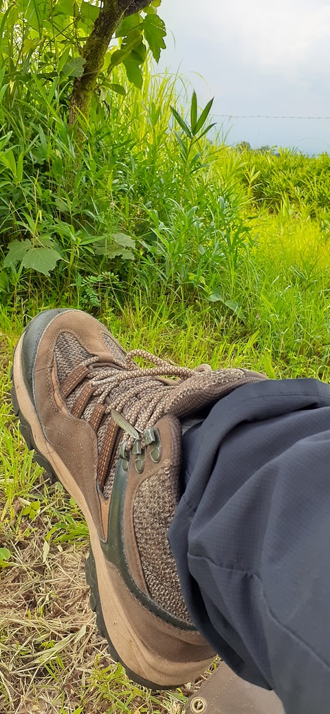 167-152(9-9)久住星群れキャンプ場723_142947