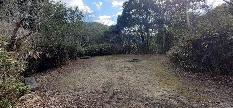 133-118(32-32)中ノ島公園115411