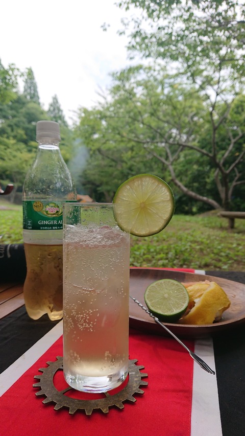 106-91(5-5)菖蒲谷キャンプ場637