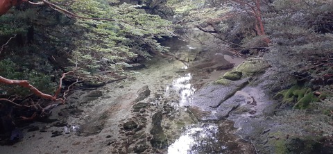 260-241(49-46)宮之浦岳淀川小屋501_184548