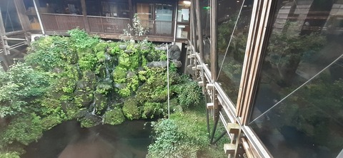 176-161(18-18)坊中野営場1009_110748