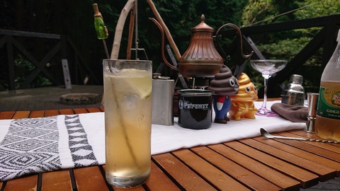 118-103(17-17)グランピングKAWASAKI２65S