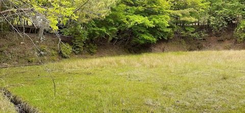 156-141(55-55)鹿川キャンプ場506_094919