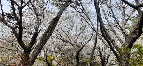 254-235(43-40)長崎鼻リゾート②330_122407