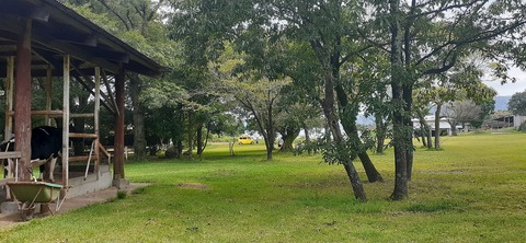 229-212(18-17)竹原牧場916_123258