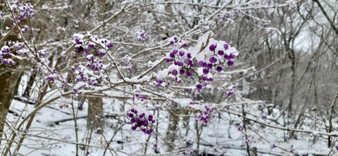 238-221(27-26)法華院温泉山荘1118_102800