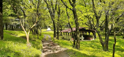 206-190(48-47)吉無田高原緑の村430_140320
