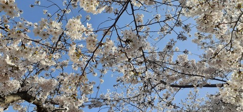 203-187(45-44)長崎鼻リゾート328_082143