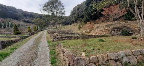 148-133(47-47)橘香園22_162219