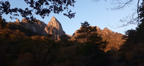 236-219(25-24)大崩山1104_065314