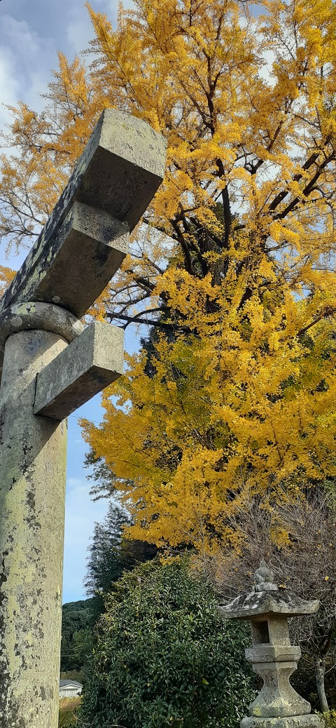 237-220(26-25)るるパーク1111_114803