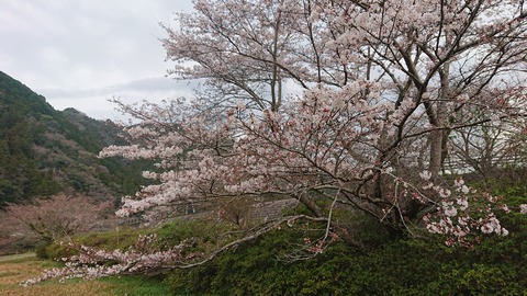91,92-77,78(46,47-41,42)阿武川河川公園159