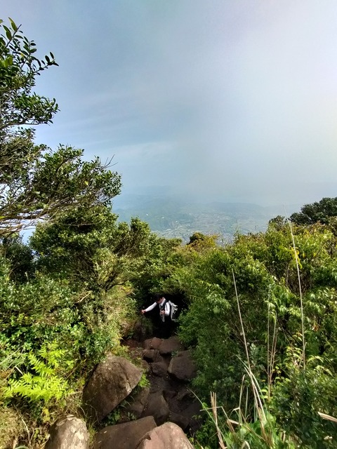 257-238(46-43)開聞岳428085901