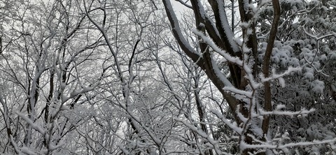 251-232(40-37)法華院温泉山荘2泊目224_085141