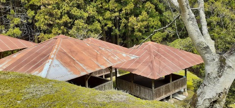 202-186(44-43)八木山渓流公園325_111808