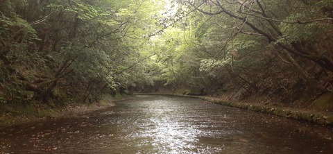 268-248(5-4)岳切渓谷キャンプ場615_150637