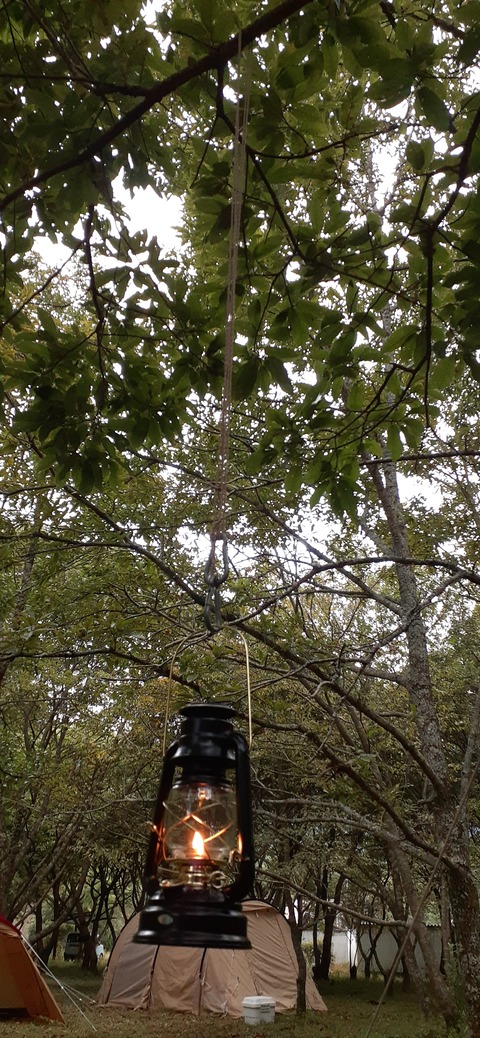 233-216(22-21)9.BASE1014_162140