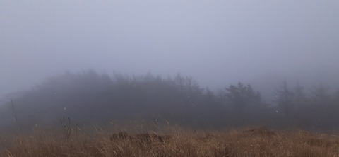 251-232(40-37)法華院温泉山荘2泊目223_121912