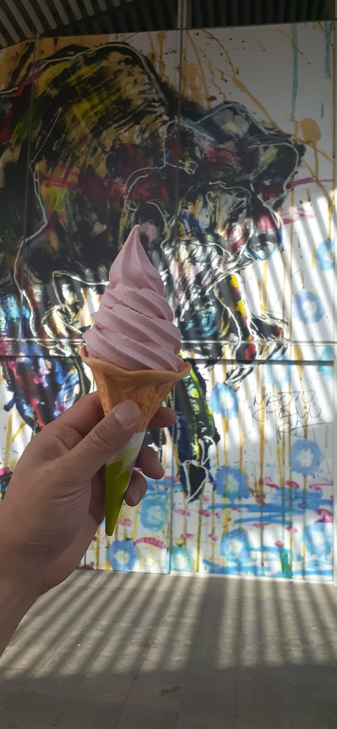 237-220(26-25)るるパーク1111_124639