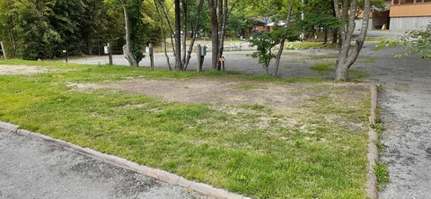 216-200(5-5)山鳥の森623_131931