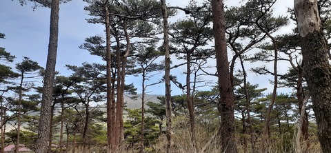 209-193(51-50)えびの高原キャンプ村503_142114