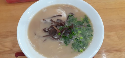 255-236(44-41)味見桜公園 跳豚413_110433