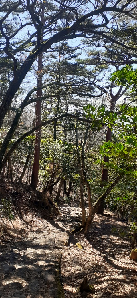 240-223(29-28)韓国岳1124_112443