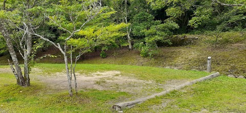 216-200(5-5)山鳥の森623_132248