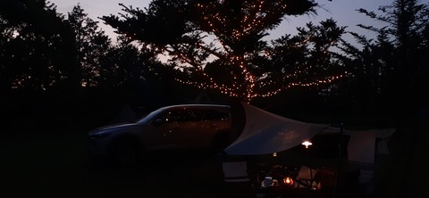 205-189(47-46)ラピュタファーム422_190851