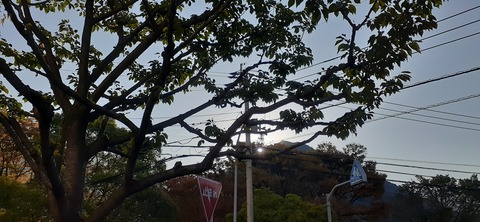 234-217(23-22)広川原キャンプ場1028_080455