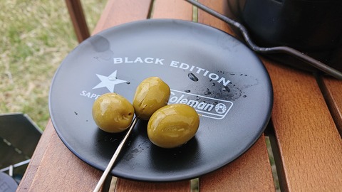 99-84(54-48)四季見原すこやかの森924