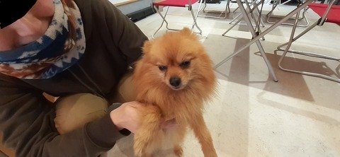 144-129(43-43)スゼンジハウスオープンエア26_105444R